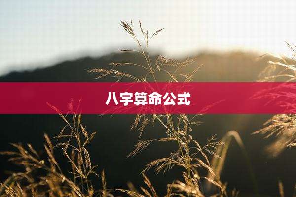 八字算命公式