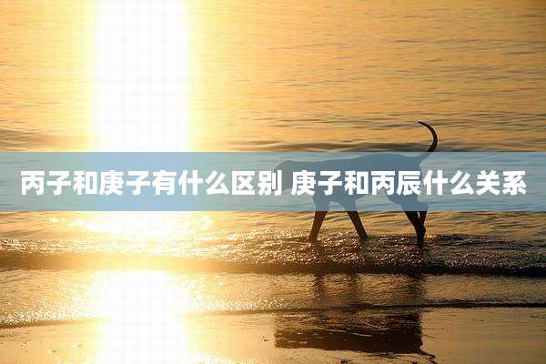 丙子和庚子有什么区别 庚子和丙辰什么关系