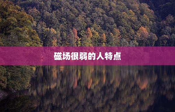 磁场很弱的人特点