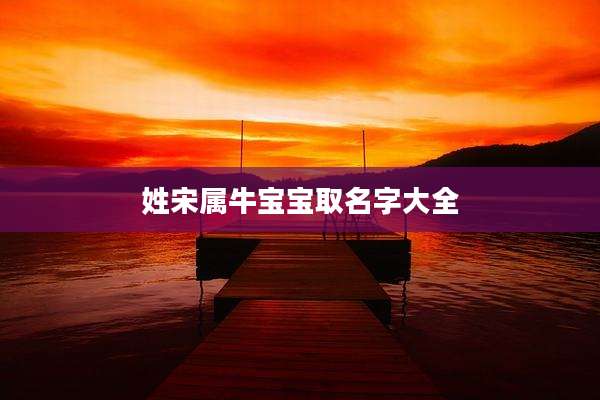 姓宋属牛宝宝取名字大全