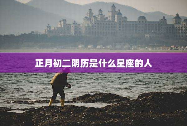 正月初二阴历是什么星座的人