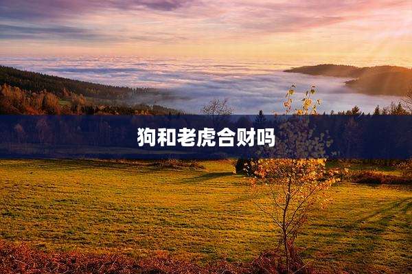 狗和老虎合财吗