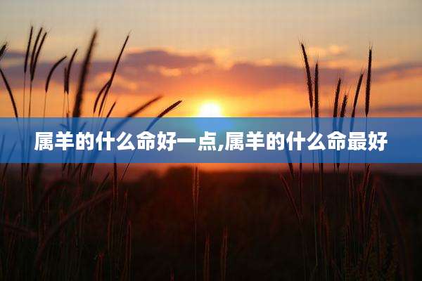 属羊的什么命好一点,属羊的什么命最好
