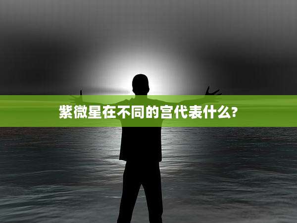 紫微星在不同的宫代表什么?
