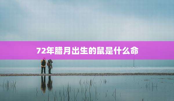 72年腊月出生的鼠是什么命