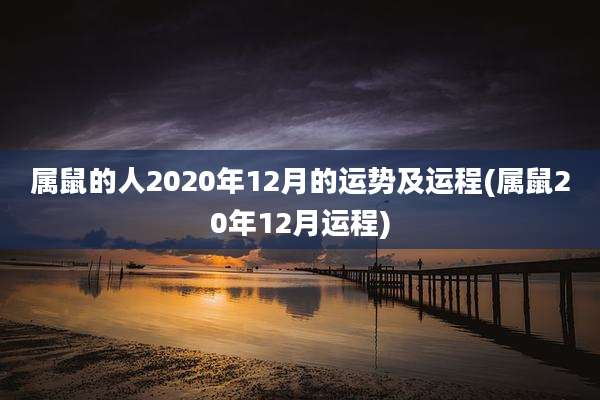 属鼠的人2020年12月的运势及运程(属鼠20年12月运程)