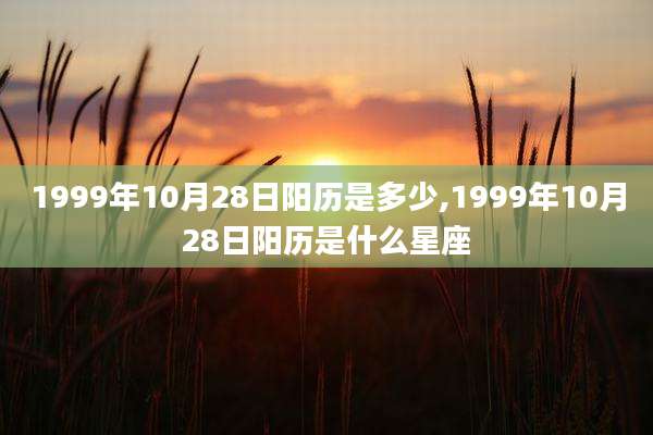 1999年10月28日阳历是多少,1999年10月28日阳历是什么星座