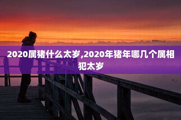 2020属猪什么太岁,2020年猪年哪几个属相犯太岁