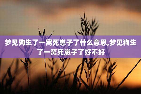 梦见狗生了一窝死崽子了什么意思,梦见狗生了一窝死崽子了好不好