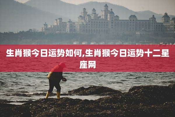 生肖猴今日运势如何,生肖猴今日运势十二星座网