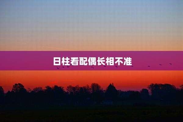 日柱看配偶长相不准