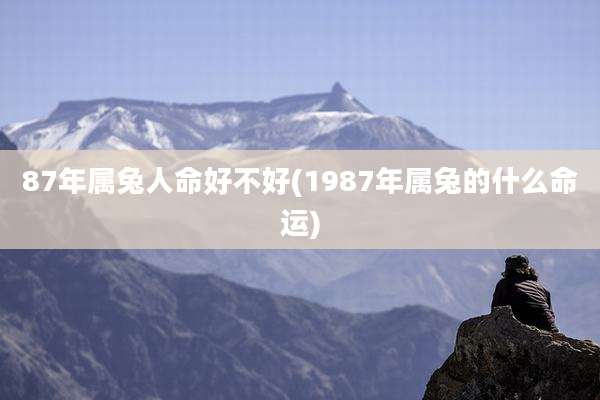 87年属兔人命好不好(1987年属兔的什么命运)