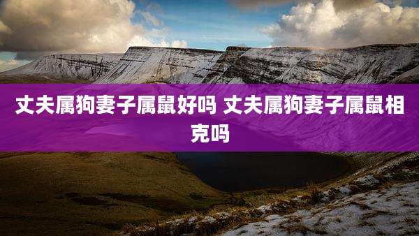 丈夫属狗妻子属鼠好吗 丈夫属狗妻子属鼠相克吗