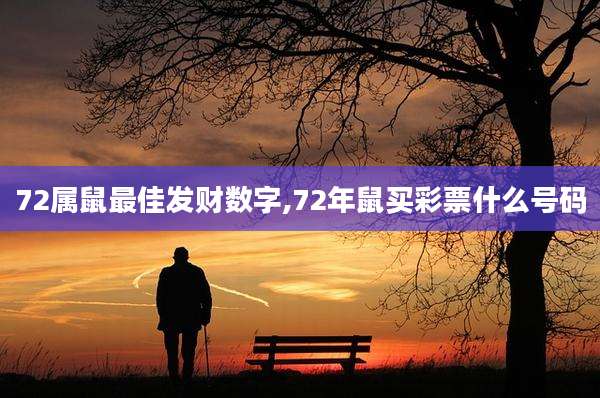 72属鼠最佳发财数字,72年鼠买彩票什么号码