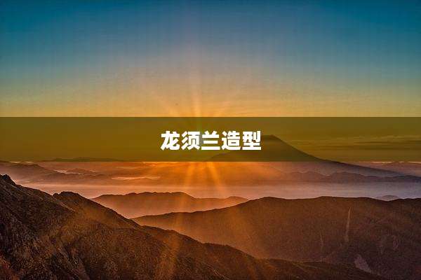 龙须兰造型