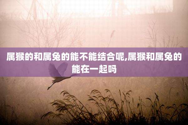 属猴的和属兔的能不能结合呢,属猴和属兔的能在一起吗