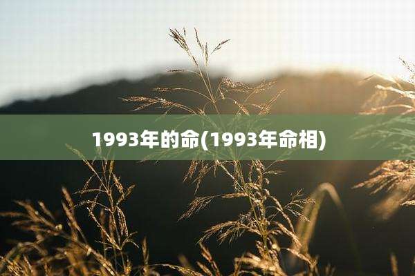 1993年的命(1993年命相)