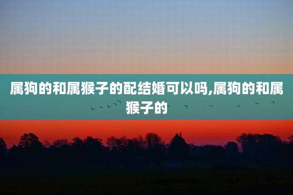 属狗的和属猴子的配结婚可以吗,属狗的和属猴子的