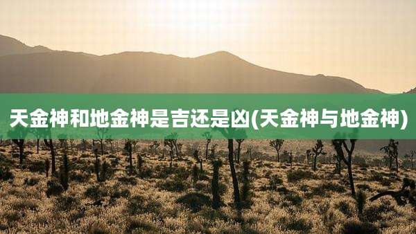 天金神和地金神是吉还是凶(天金神与地金神)