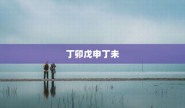 丁卯戊申丁未