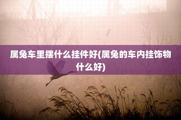 属兔车里摆什么挂件好(属兔的车内挂饰物什么好)