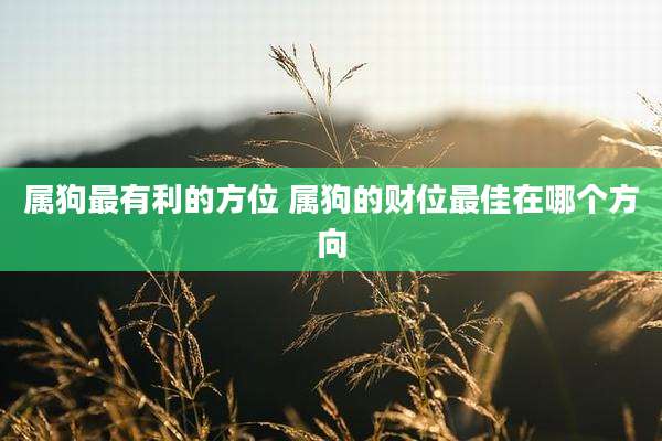 属狗最有利的方位 属狗的财位最佳在哪个方向