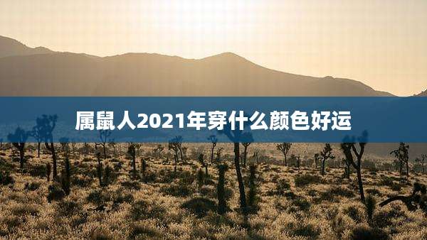 属鼠人2021年穿什么颜色好运