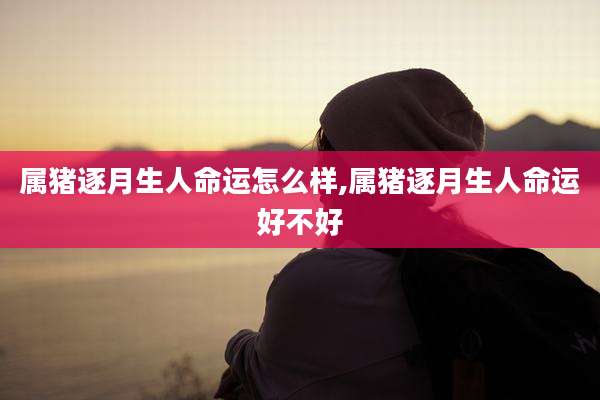 属猪逐月生人命运怎么样,属猪逐月生人命运好不好