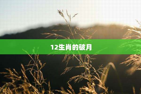 12生肖的破月