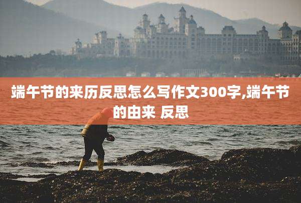 端午节的来历反思怎么写作文300字,端午节的由来 反思