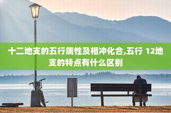 十二地支的五行属性及相冲化合,五行 12地支的特点有什么区别