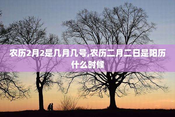 农历2月2是几月几号,农历二月二日是阳历什么时候