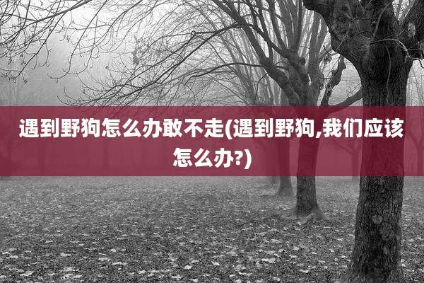 遇到野狗怎么办敢不走(遇到野狗,我们应该怎么办?)