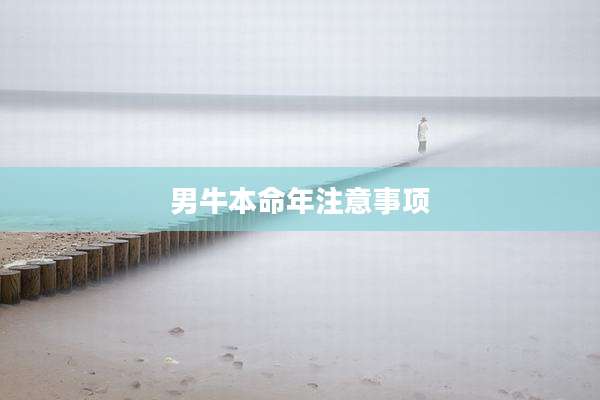 男牛本命年注意事项
