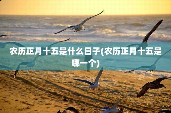 农历正月十五是什么日子(农历正月十五是哪一个)