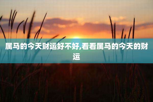 属马的今天财运好不好,看看属马的今天的财运