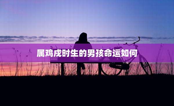 属鸡戍时生的男孩命运如何