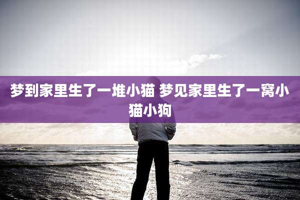 梦到家里生了一堆小猫 梦见家里生了一窝小猫小狗