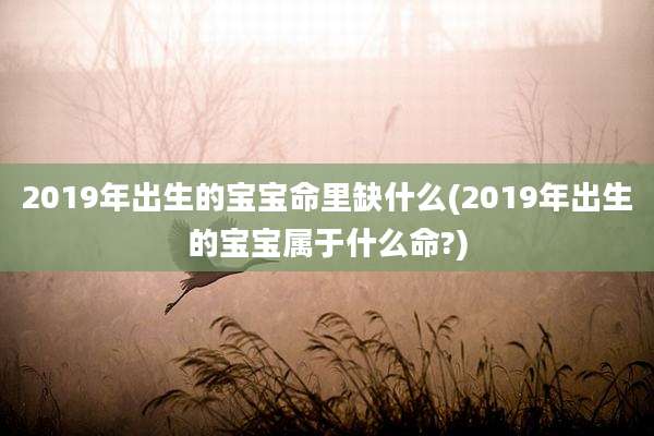 2019年出生的宝宝命里缺什么(2019年出生的宝宝属于什么命?)