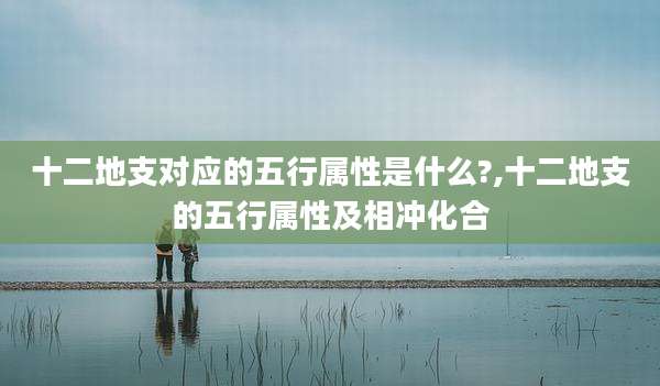 十二地支对应的五行属性是什么?,十二地支的五行属性及相冲化合