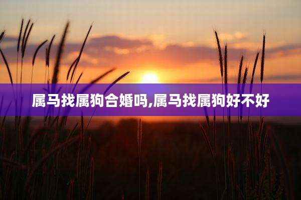 属马找属狗合婚吗,属马找属狗好不好